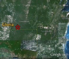 Seconde 12 - Gloria - Jungle Seconde 12 - Gloria - Jungle